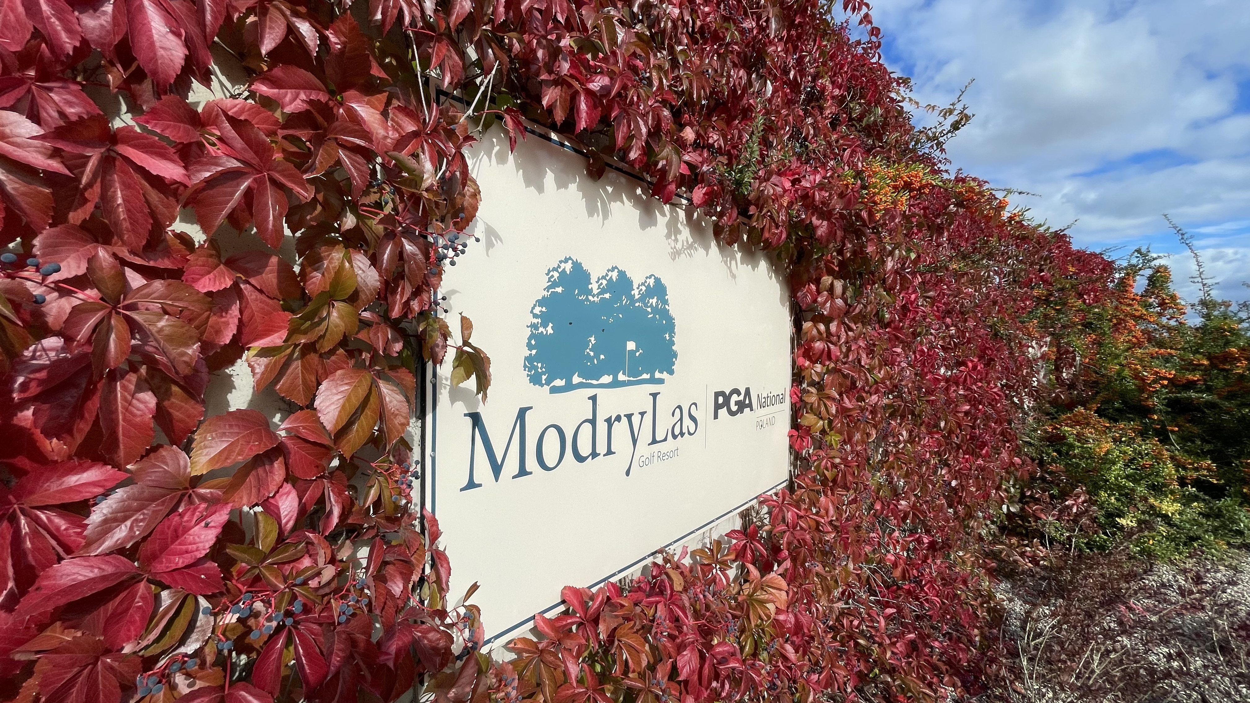 ModryLas